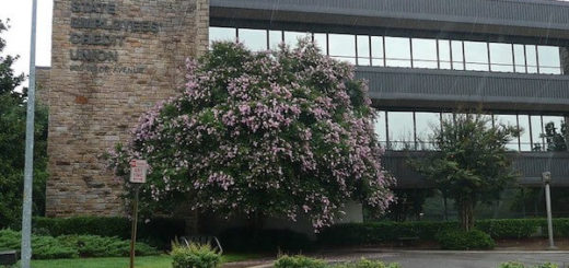 State Employees Credit Union